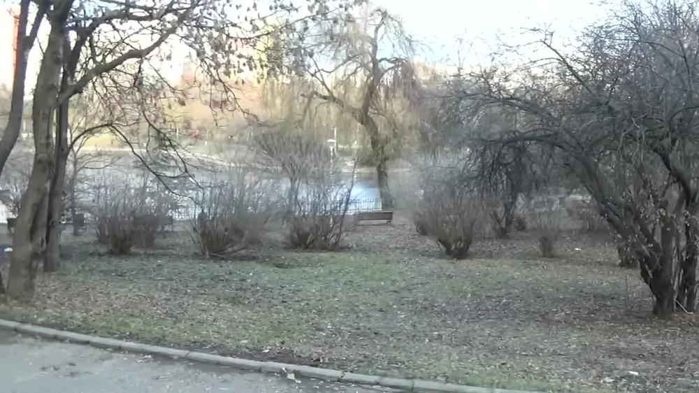 Watch Public Pussy, Smoking And Fucking Myself In Public