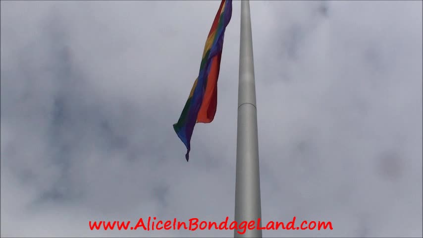 Pride_Day_Flagpole_Part_2_Mummification_Aliceinbondageland