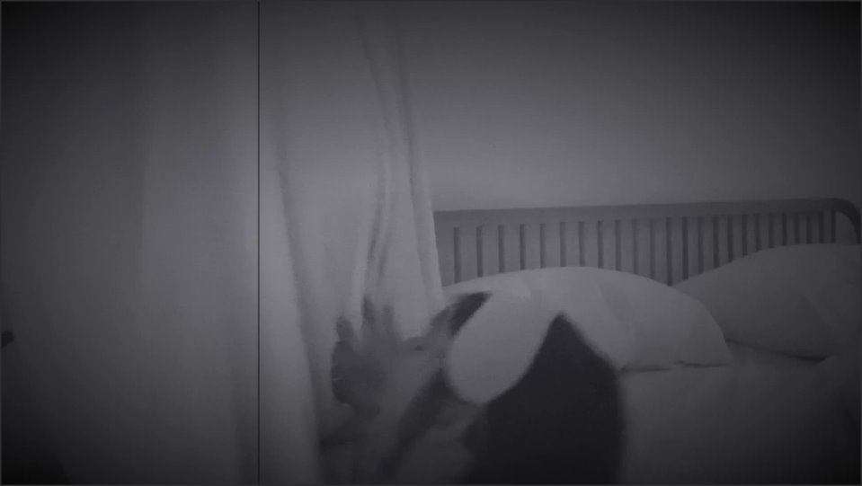 Haunted Whores Edit