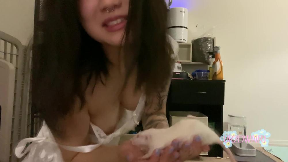 Ur2Dwaifu 2020 19971806 Cute Rats Are Cute And Back