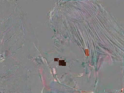 Wild N Wet Scene 2