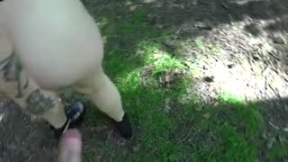 Alissa Noir Risky Outdoor Fuck With A Stranger Manyvids Mp4