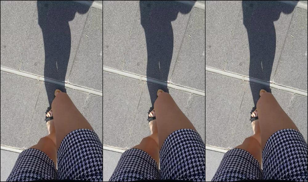 Walking-With-My-Wood-Mules-Pov