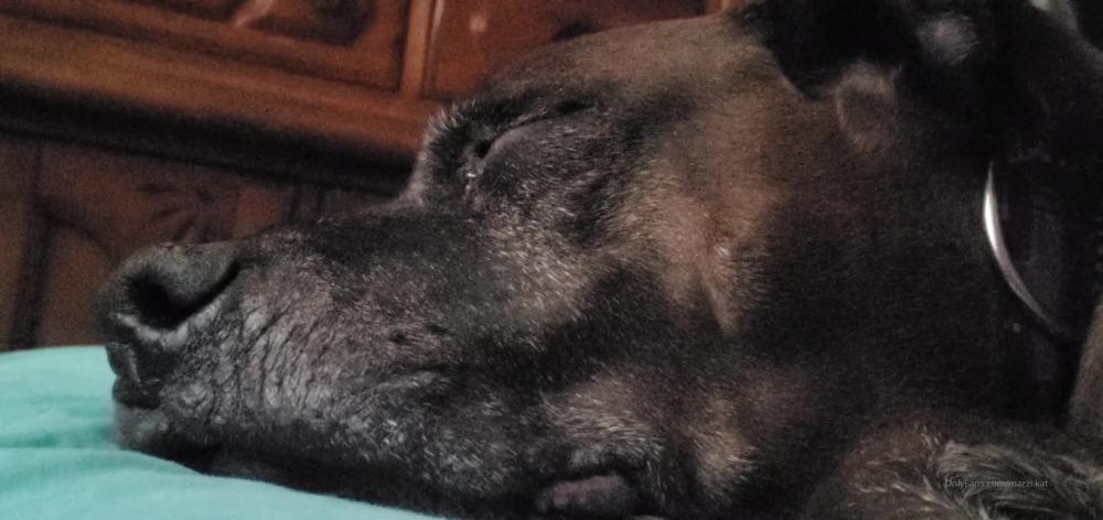Marzi Kat 2020 1428500164 This Very Best Friend You May Have Heard His