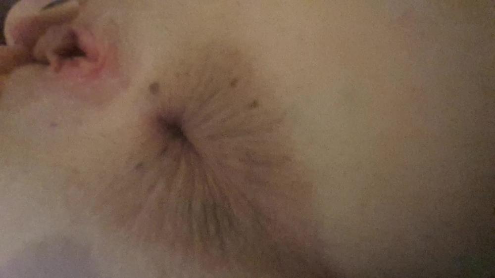 Lolaraexxx 2018 9574883 Tight Pussy And Asshole