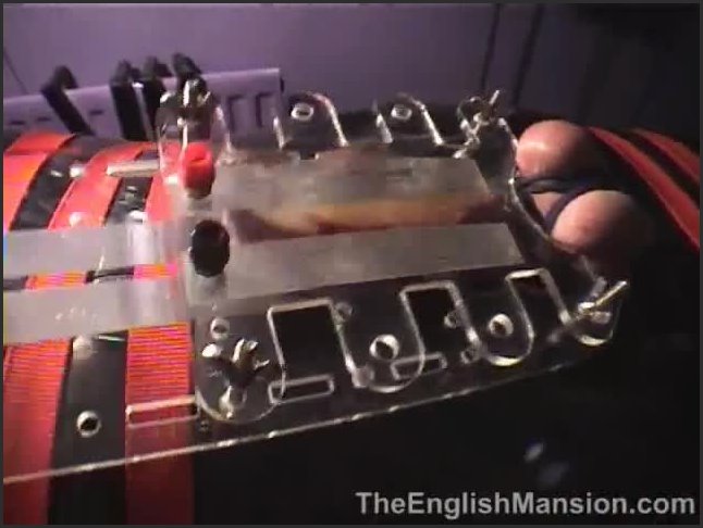 The English Mansion The Electric Cock Board