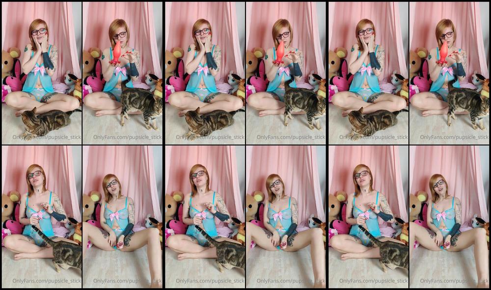 Pupsicle Stick 08 02 2021 1041218219