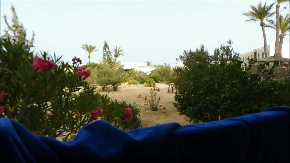 I jerk off and suck my man in Tunisia