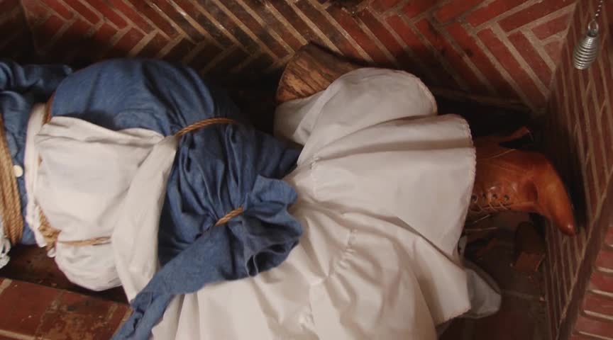 Blue Damsel In The Fireplace - Lorelei And Jon Woods