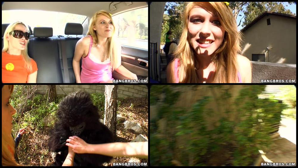 75  Tara Lynn Foxx  Katie Summers  Rebecca Blue  43   720P 1 1       Not Monkeying Around    11 02 2011