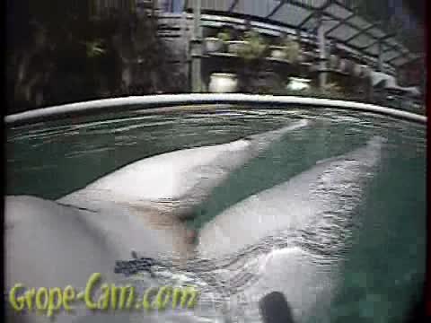 67-[Grope-Cam.Com]2