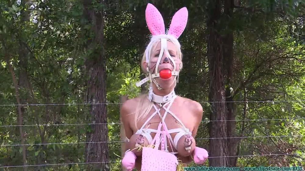 Foxx To Bunny Transformation 2