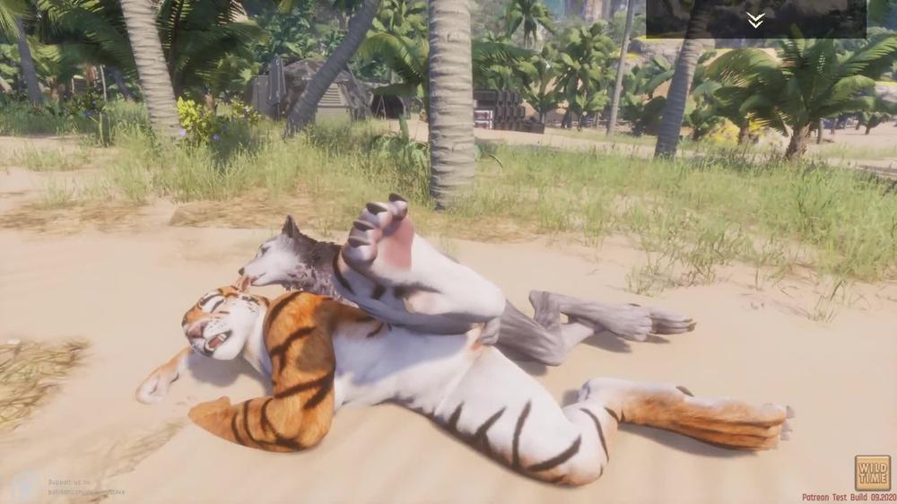 Wild Life / Lesbian Furrie Porn Tiger and Wolf Girl