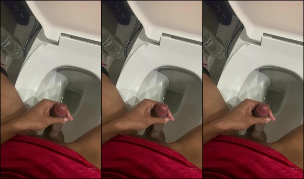 2020 233515985