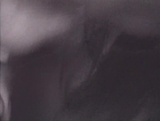 Lauren Phoenix Dirtier Debutantes 4 (2003)