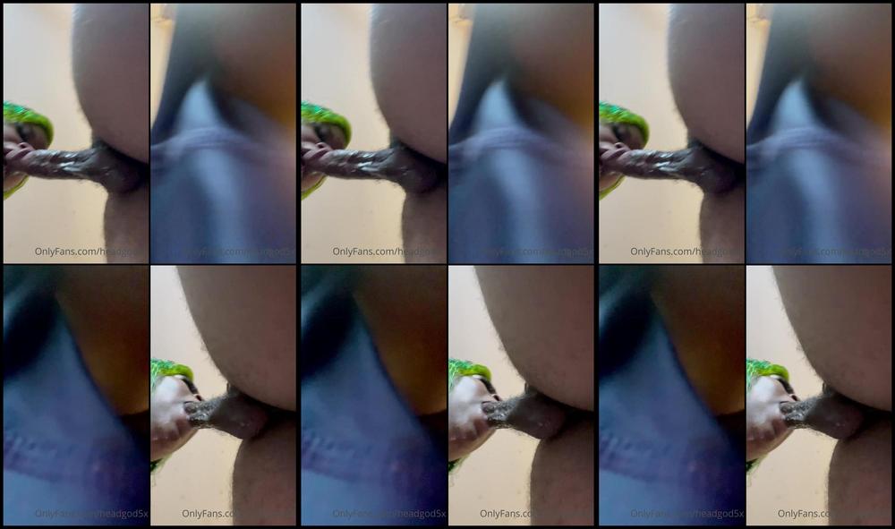 Headgod5X 03 09 2021 2211200224 Round 1 Of Me Making Him Bust With Cumshot Headgod5Xx Deepthroatbully