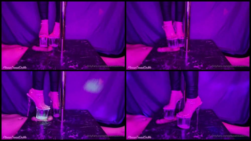 Pleasetreadonme 02 04 2022 2412282973 Latest Footage From Pussy Palace