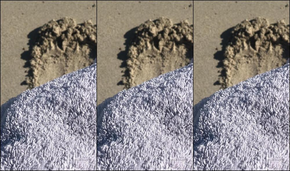 2019 12335454
