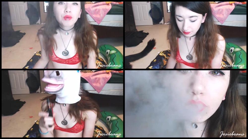 Josiebeans Josie Vapes