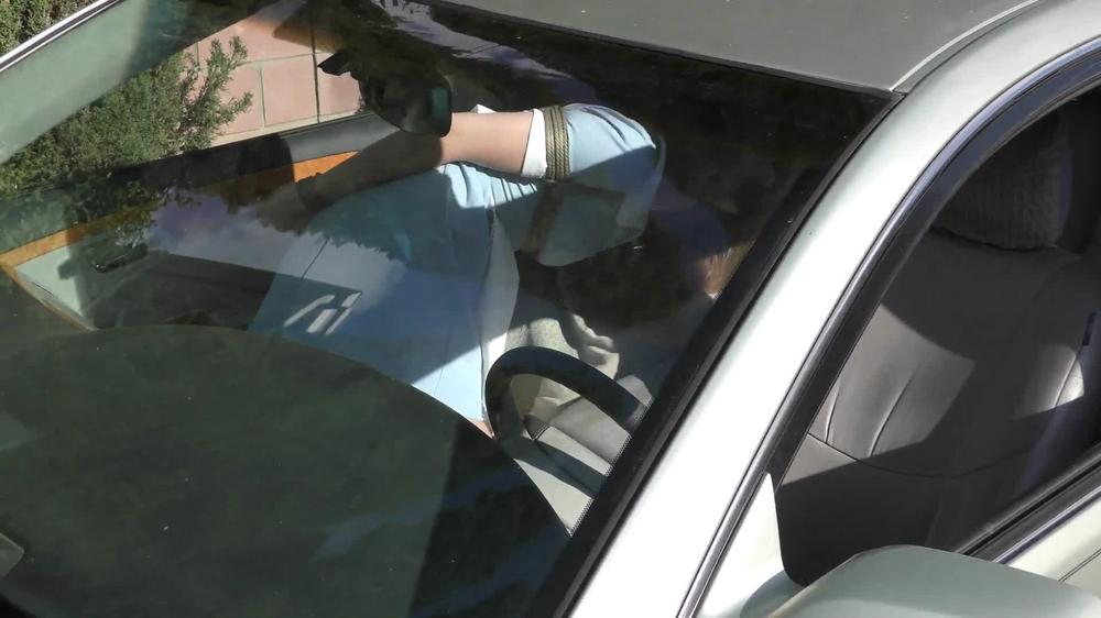 Car Trunk Captive - Ashley Lane The Hotel Maid