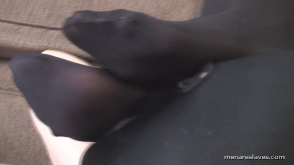 222_Hersmellystockings