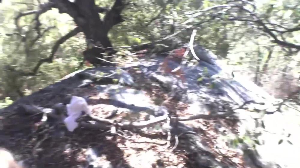 Fucking and Sucking in the Sequoia National Forest (Day 1)