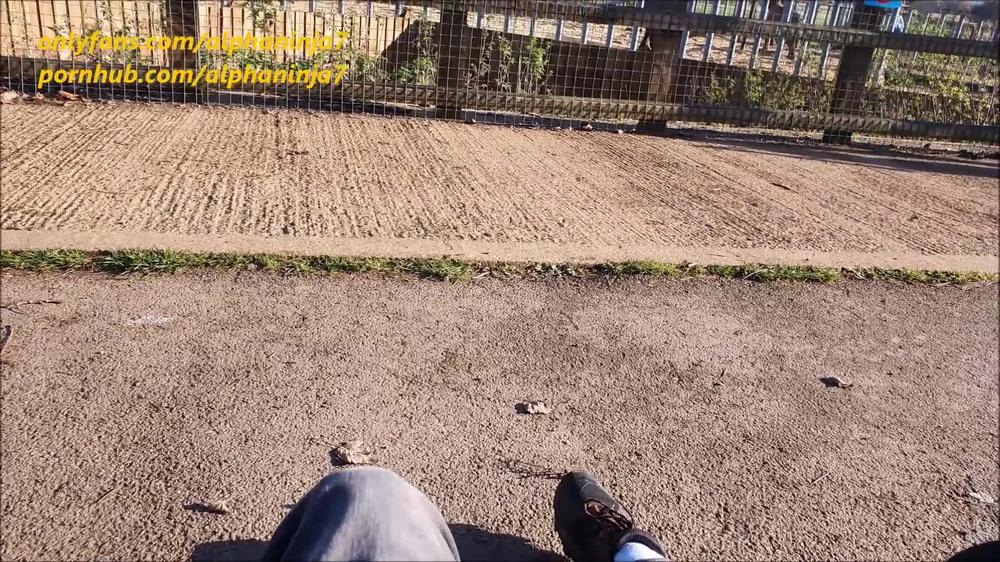 Risky Public Fun Day at the ZOO