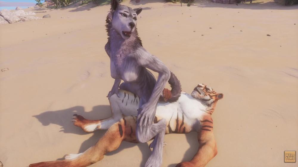 Wild Life / Furry Wolf Girl with Furry Tiger
