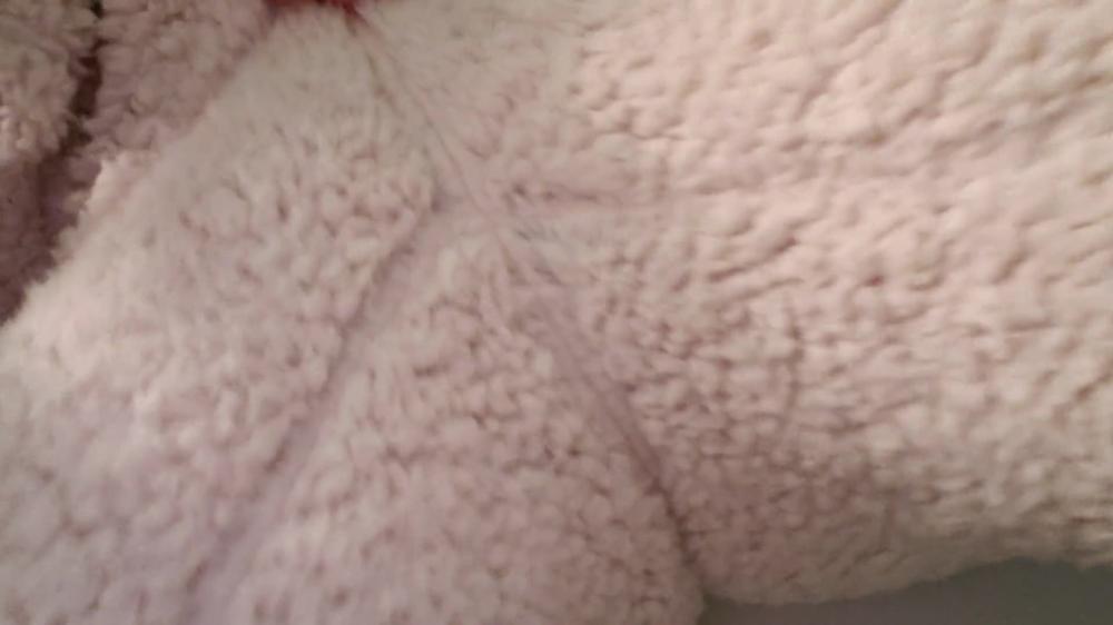 wetting my teddy bear suit