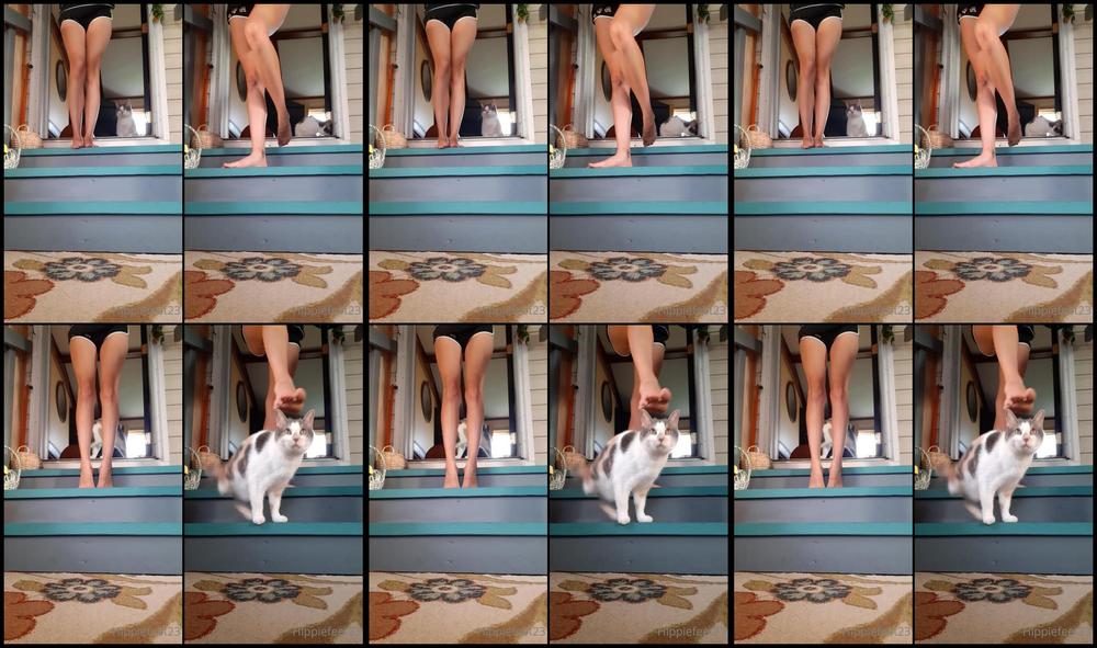 Hippiefeet23 19 06 2021 2140265288 Morning Stretches With My Kitty
