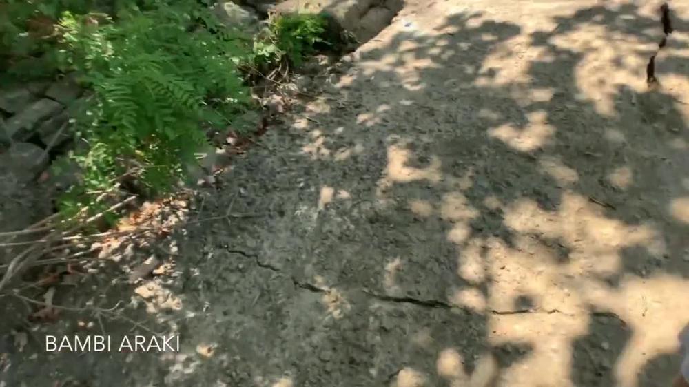Amateur Teen Gets Fucked Outdoors at Public Park By The River