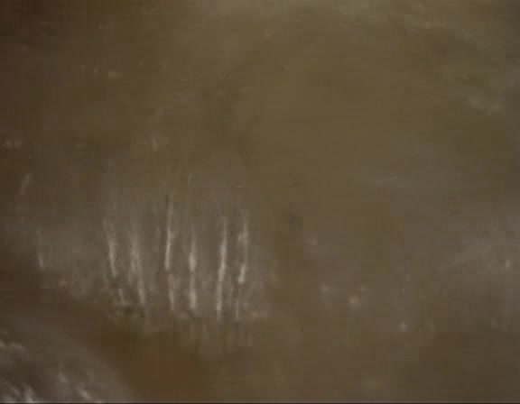Traci Lords - Night Of Loving Dangerously - Sc1 (1984)
