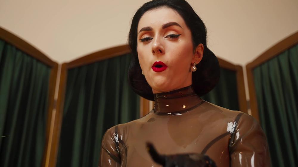 Pov Pet Play
