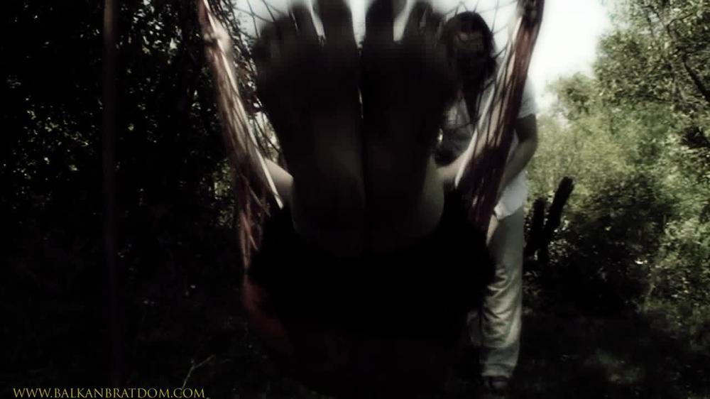Bbd_23