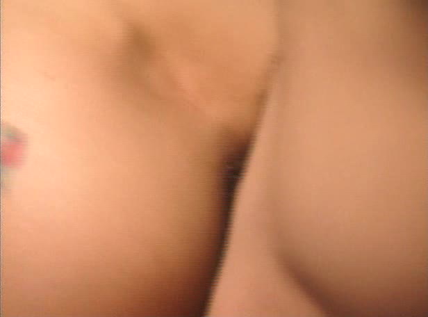 Jeanna Fine - Wild Widow