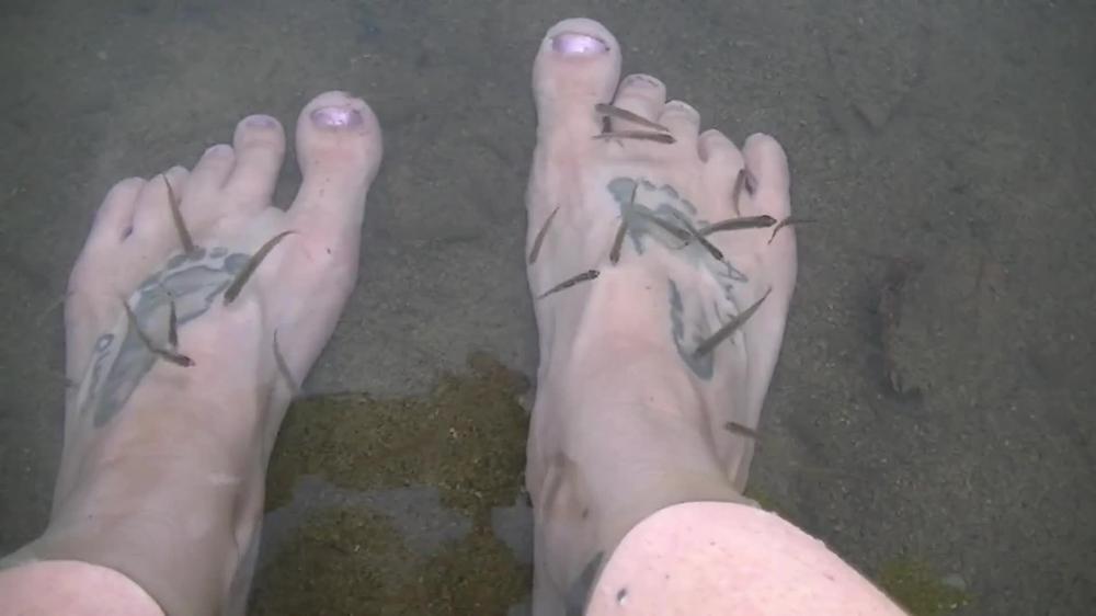 Fish feet