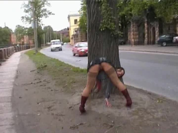0001_Wmv2048K_37383544_All