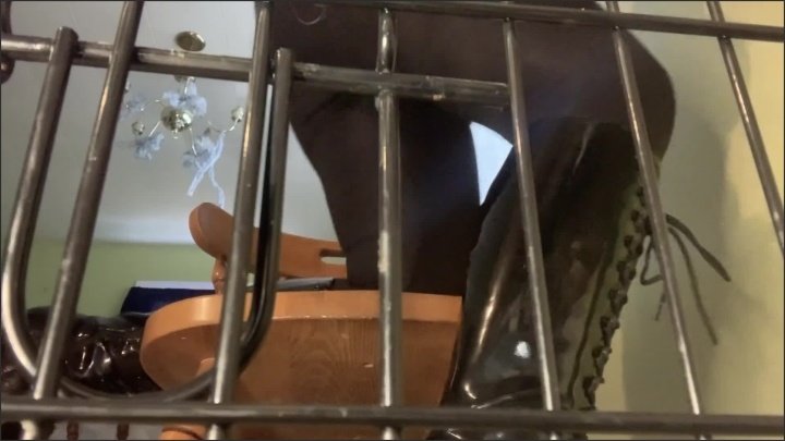 Caged Pet Play Punishment Joi Curvy Femdom Pov It S For All Genders Too