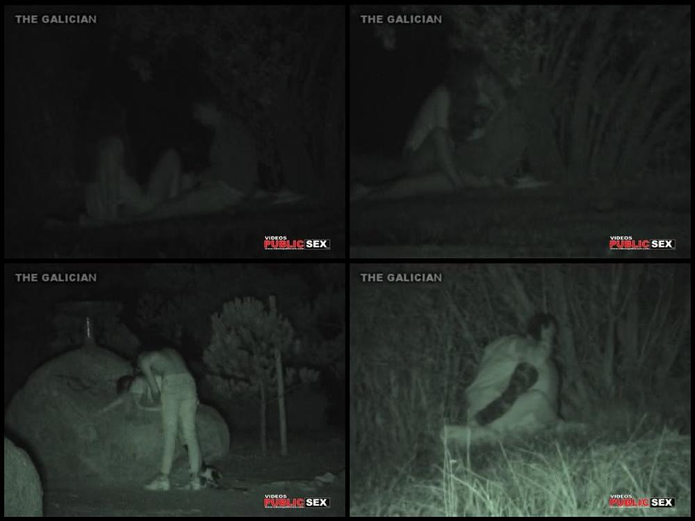 Night Watching 131
