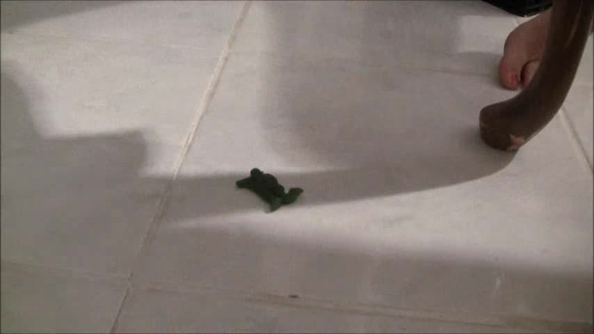 The-Little-Green-Gummy-Men