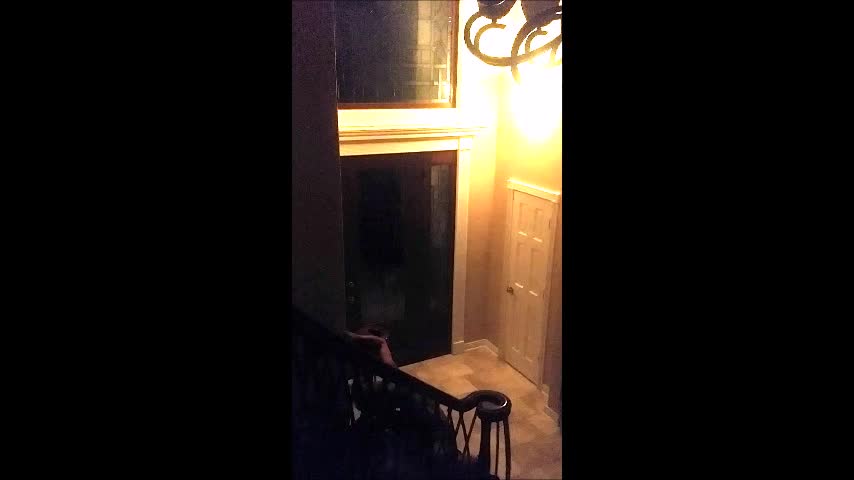 Tianalive Pizza Boy Returns Spy Cam