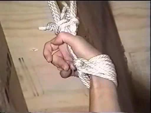 Bdv-83