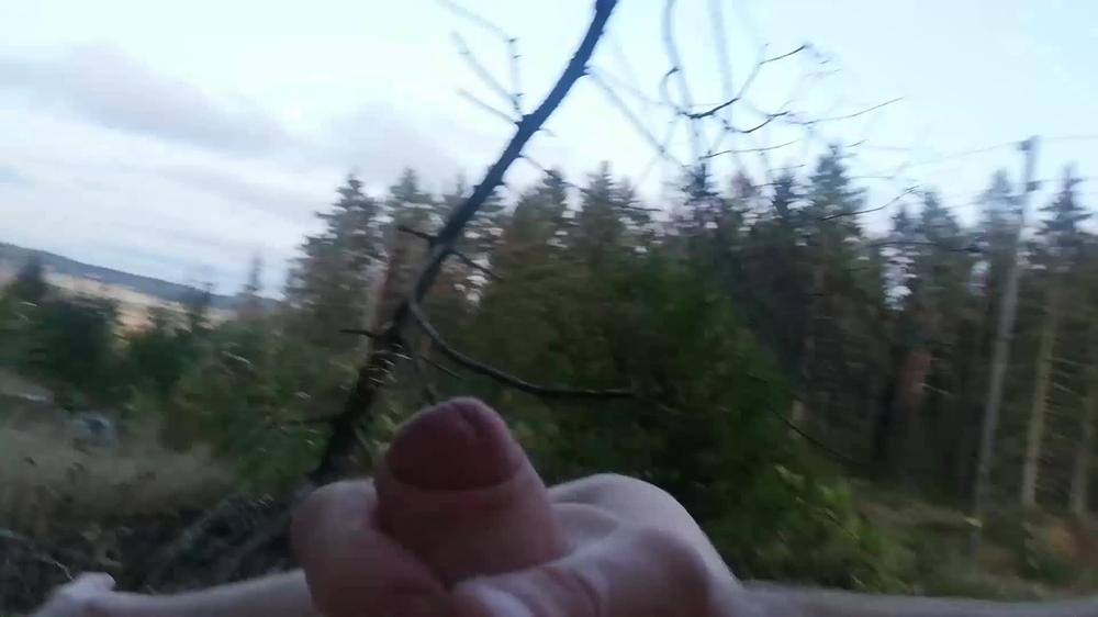 Exploring the nature #8 - Playing with my +8inch dick in the wild