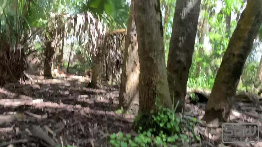 Fucking and Sucking in the Myakka River, Florida almost getting caught