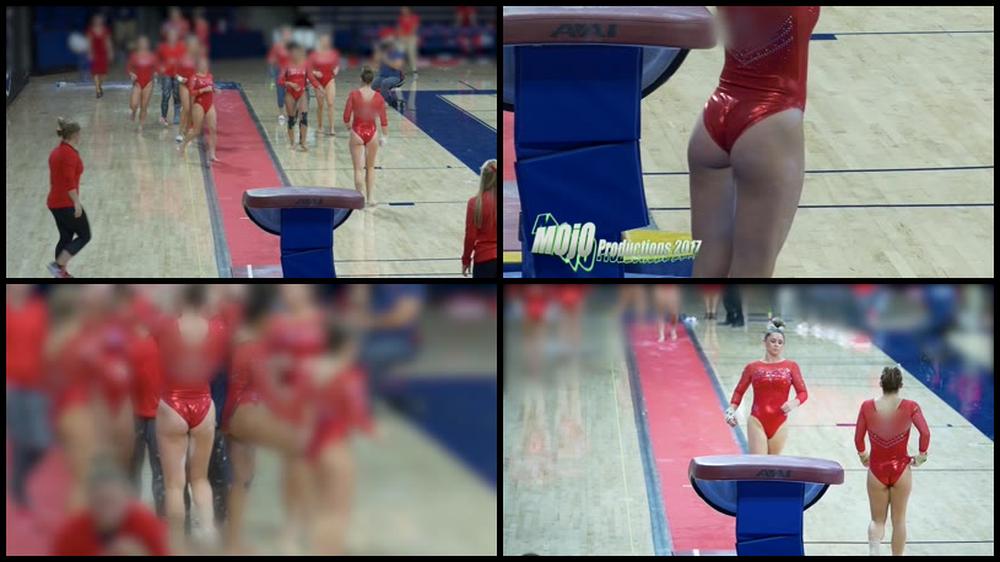 Gymnastics Vault Tribal Tcb