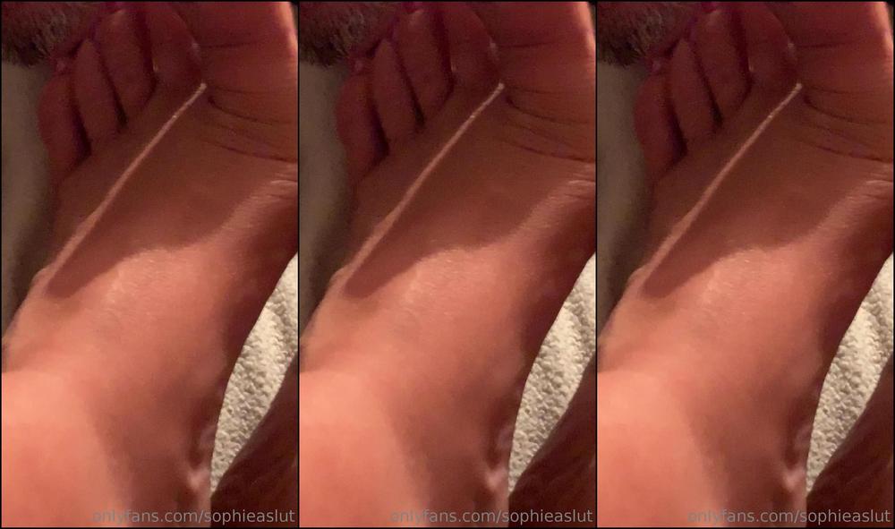 2019 24226985