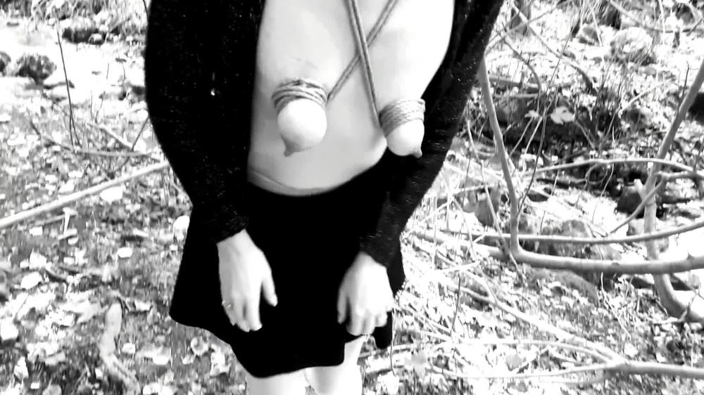 Kinktober day 27 - Exhibition KINK - Topless tied up and hooked blowjob in public: Bdsmlovers91