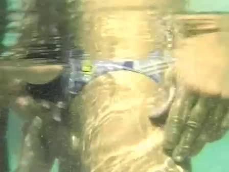 Oceans Of Lust - Sc1