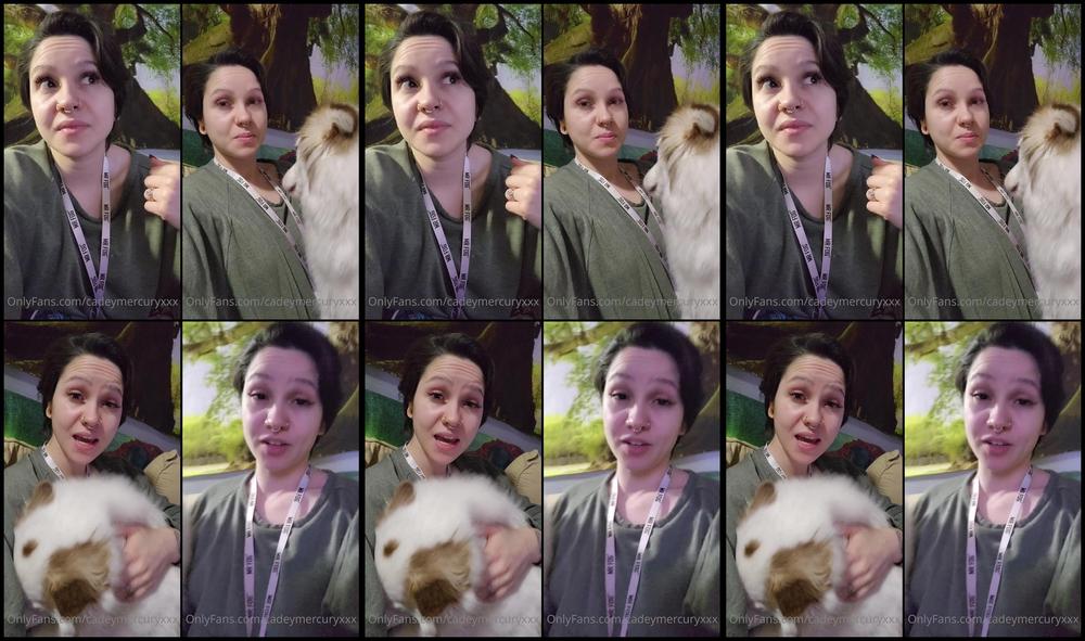 Cadeymercuryxxx 11 04 2022 2421399576 Please Comment Below What Kind Of Small Breed Puppie You Guys Think Would Be A Great Addit