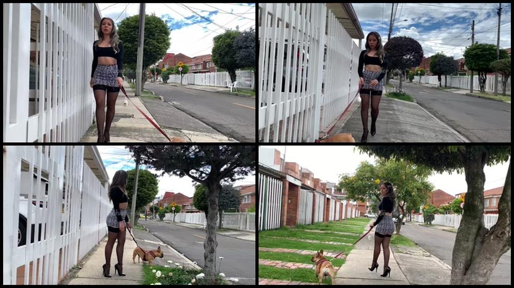 Elahunteroficial 19 03 2021 2054785511 A Video To Remember My Dog X27 S Adventures D